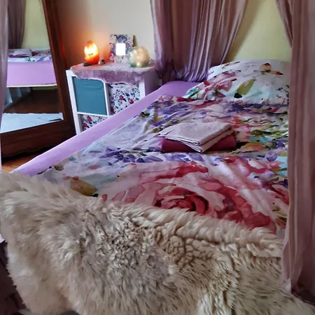 Dominique Hohenfels (Baden-Wurttemberg)