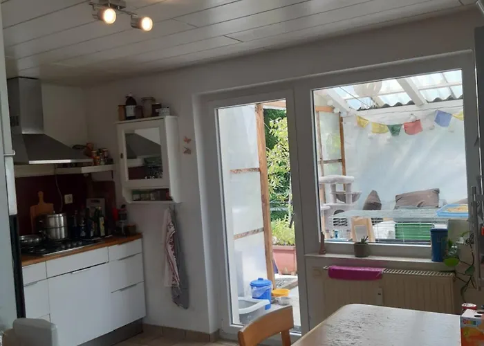 Dominique Hohenfels (Baden-Wurttemberg)