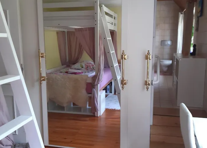 Dominique Hohenfels (Baden-Wurttemberg)