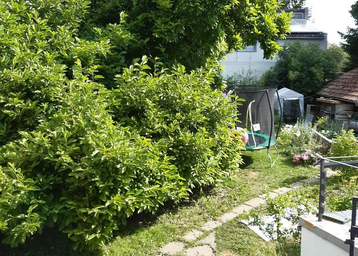 Dominique * Hohenfels (Baden-Wurttemberg)